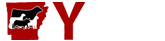 AYE Logo