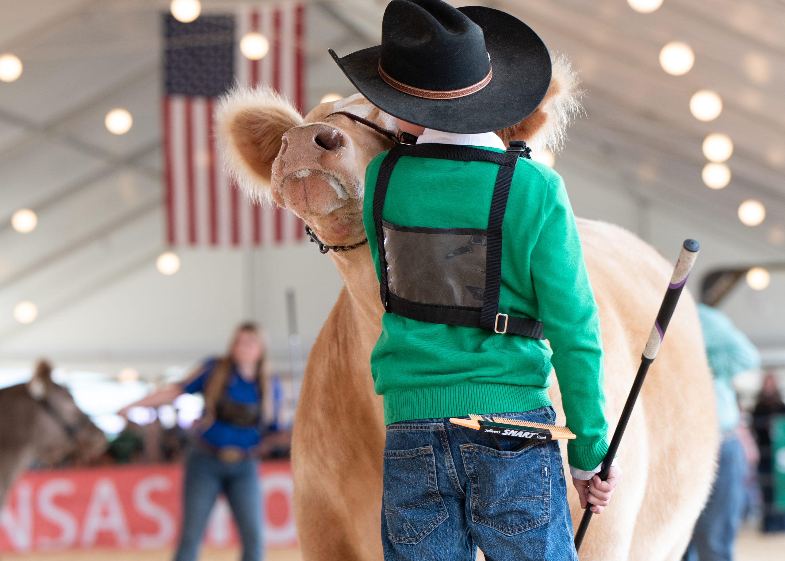 AYE Arkansas Youth Expo